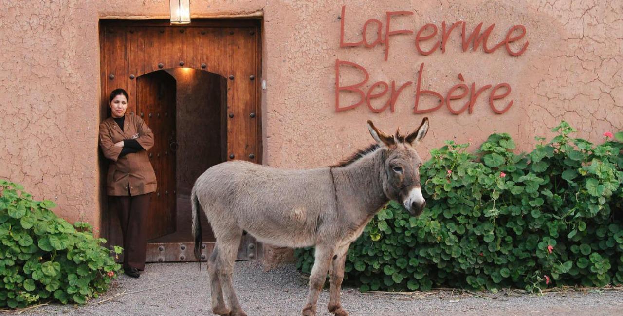 Bed and Breakfast La Ferme Berbere Adult Only El Harkat Exteriér fotografie