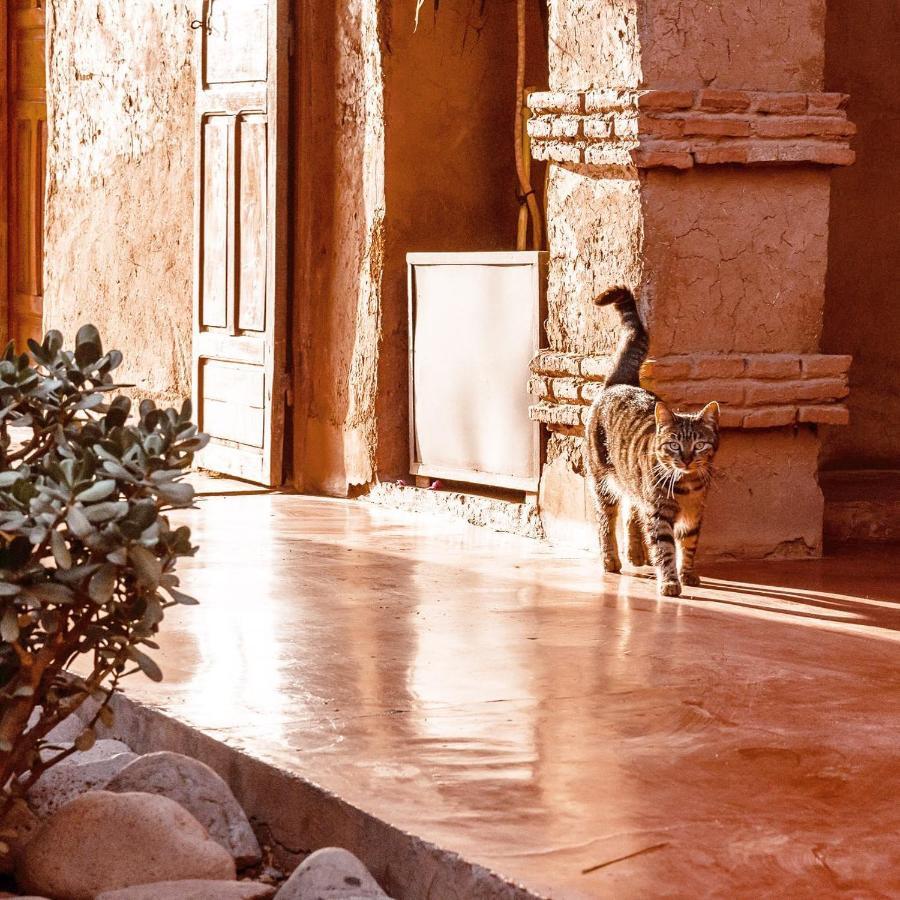 Bed and Breakfast La Ferme Berbere Adult Only El Harkat Exteriér fotografie