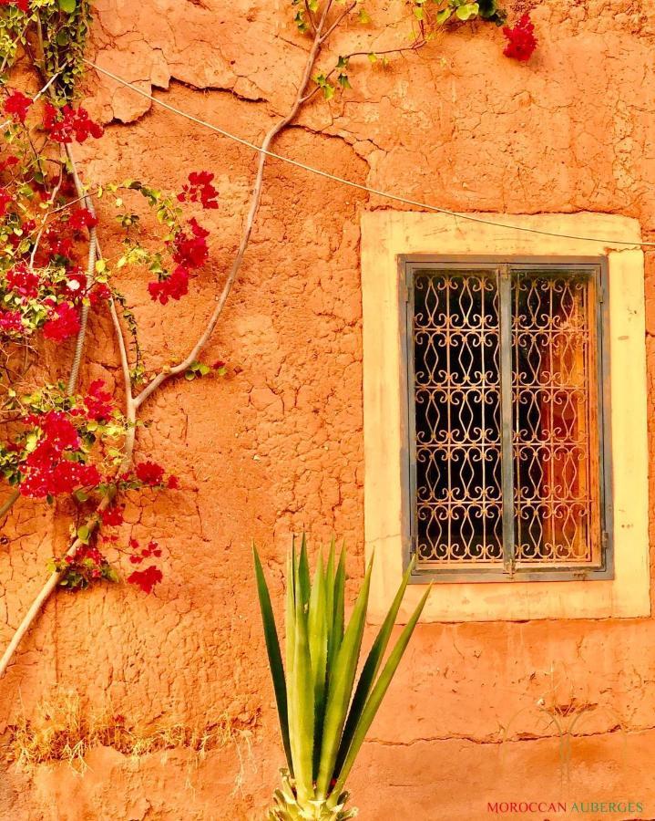 Bed and Breakfast La Ferme Berbere Adult Only El Harkat Exteriér fotografie
