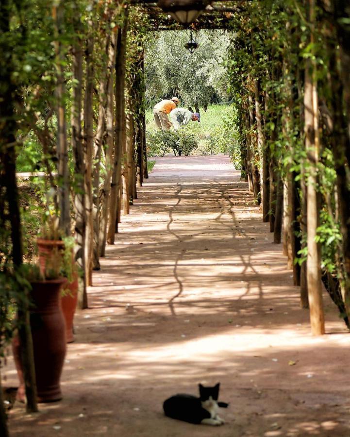 Bed and Breakfast La Ferme Berbere Adult Only El Harkat Exteriér fotografie